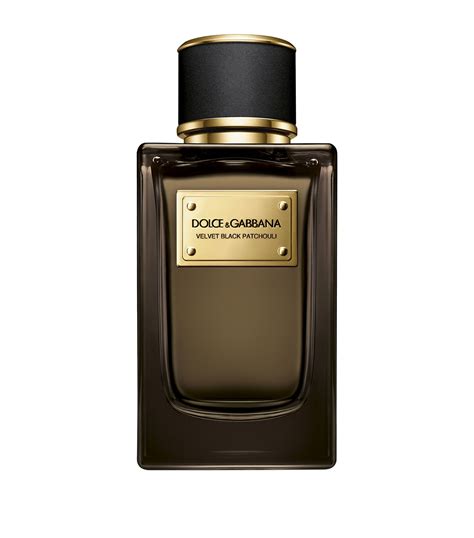 dolce & gabbana velvet patchouli
